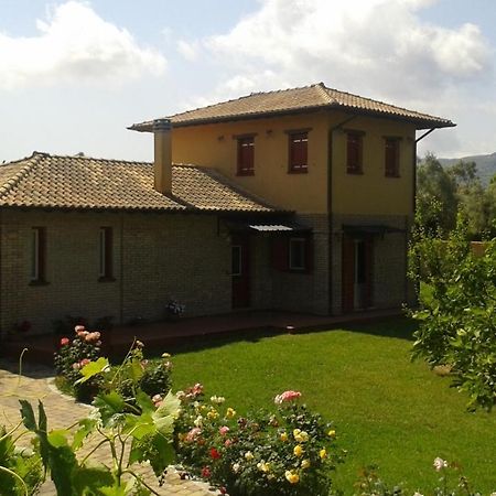 Villa Miltiadis Farm Lefkáda Exterior foto